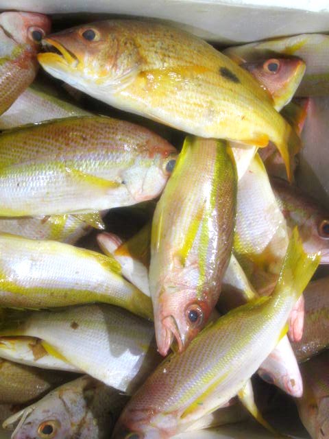 Billingsgate Fish Market